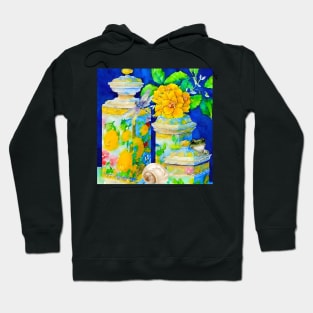 Chinoiserie jars, frog and a dragonfly watercolor Hoodie